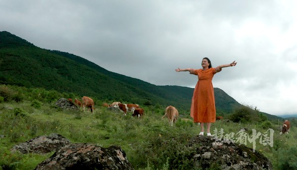 从东岸到西岸自驾横穿整个美国